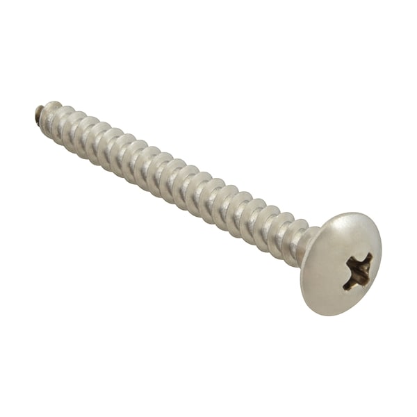 Screw, Sm/Th/Ss (100)